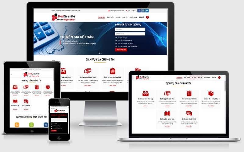 Mẫu website giới thiệu dịch vụ kế toán chuyên nghiệp (Nguồn: Internet)